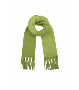 Groene winter sjaal met franjes